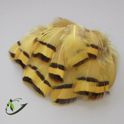 Перо French Partridge Hackles (20 шт)