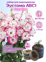 Семена Эустома Роуз Рим белая с розовым + торфяные таблетки Jiffy, 5шт, набор для выращивания