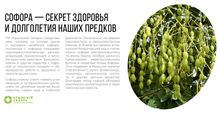 Софора Крем для ног "Гладкие пяточки" с молочной кислотой