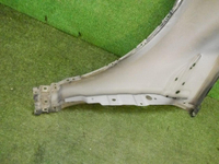 DSCN0295.jpg