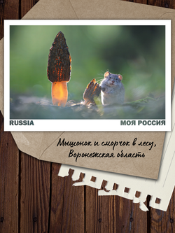 Моя Россия. Весна (выпуск №2, 2023)