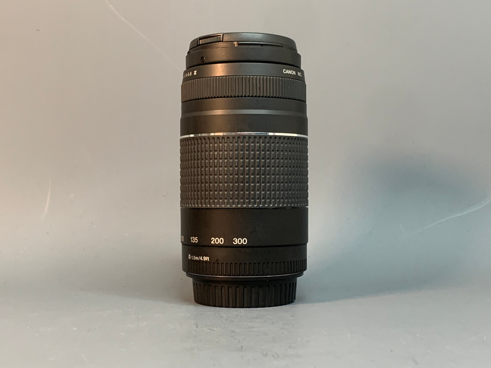 Canon EF 75-300mm 4-5.6 III