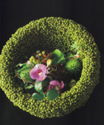 International Annual Floral Art 2006/2007