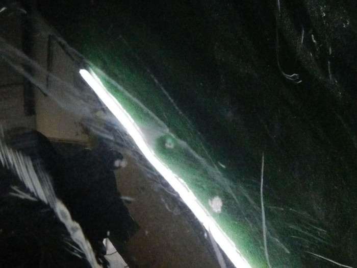 DSCN4254.jpg