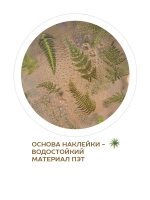 Наклейки флора на прозрачном фоне Роза розовая