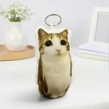Мягкий брелок "Meme cat" со звуком, oiiaiiooiiai