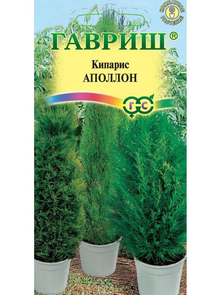 СЕМЕНА КИПАРИС АППОЛЛОН, ГАВРИШ 0,1Г СЕМЕНА КИПАРИС АППОЛЛОН, ГАВРИШ 0,1Г