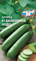 Огурцы