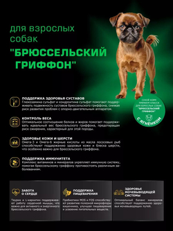 Корм сухой для взрослых собак породы Брюссельский гриффон, с ягненком, 2,5 кг, QUATTRO