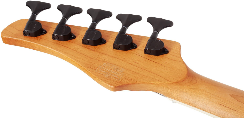 schecter_c-5_standard_cs_13_1222001989.jpg