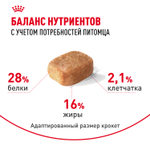 Royal Canin Chihuahua Adult Чихуахуа Эдалт Корм сухой для взрослых собак породы Чихуахуа от 8 месяцев 1,5кг