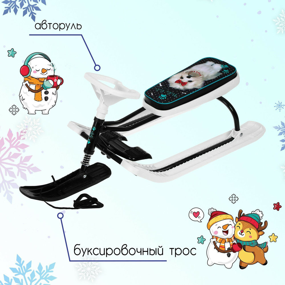 Снегокат "Тимка спорт 2+" с болонкой