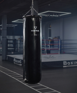 Мешок боксерский PRO PUNCH, 150 см, 60 кг, тент, черный
