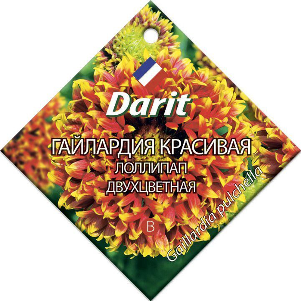 Гайлардия красивая Лоллипап двухцветная, семена Дарит 0,1г (300)