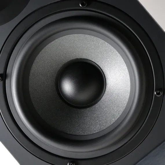 Radiotehnika S-20N Black Ash