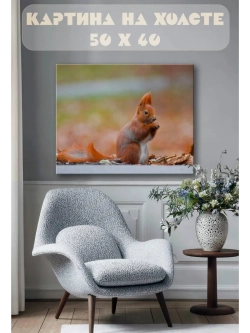 Картина на стену 40 X 50 Белка