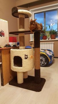 Дом для котенка Д-2