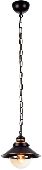 Подвесной светильник Grazioso A4577SP-1CK Arte Lamp