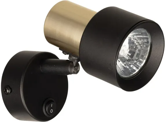 Спот Sat CL505611 Citilux