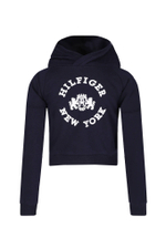Худые Tommy Hilfiger - темно-синий(KG0KG07579)