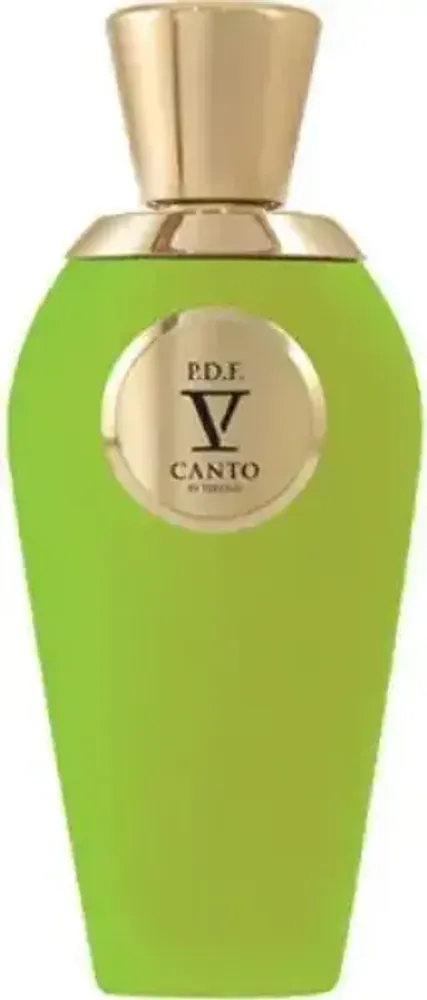 V Canto P.D.F. Extrait de Parfum 100 ml