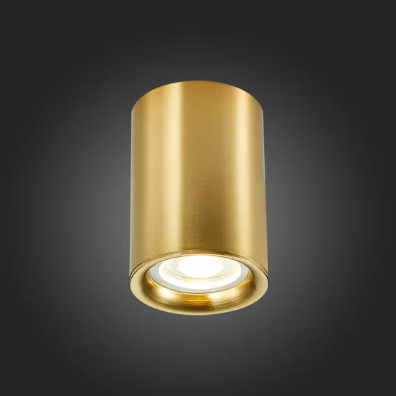 Точечный светильник St114 ST114.207.01 ST Luce
