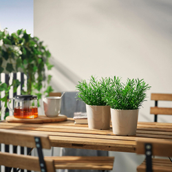IKEA FEJKA  (ИКЕА ФЕЙКА)  -  Искусственное растение в горшке - для дома и улицы/розмарин 9 см