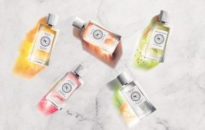 L'Occitane en Provence Orange, Feuilles Et Fleurs
