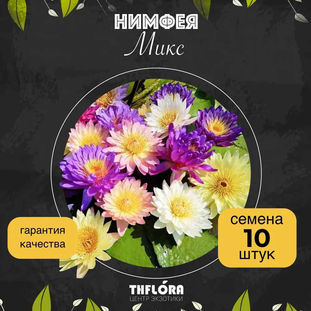 Нимфея МИКС семена 10 шт