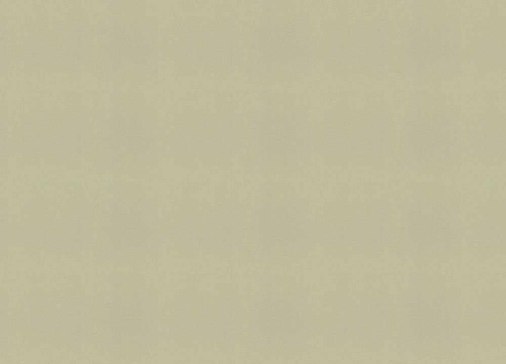 Novella