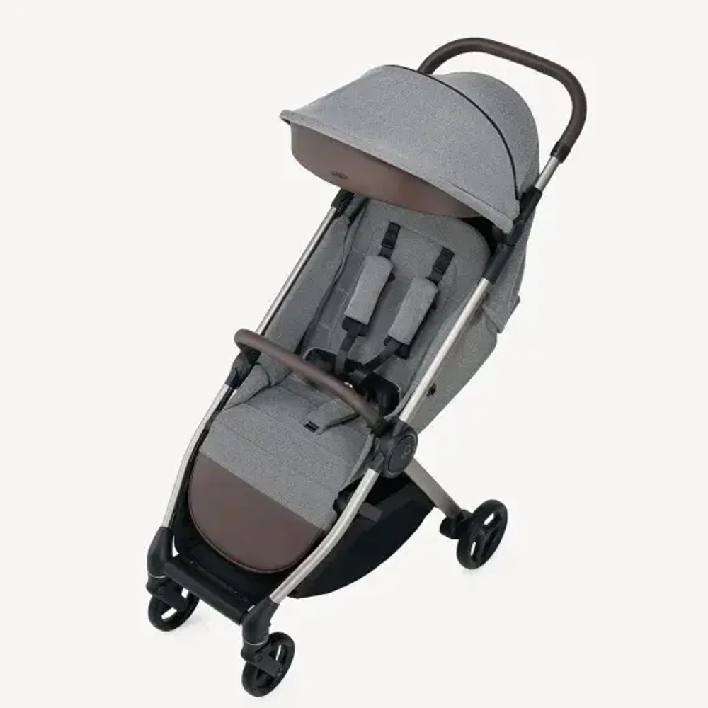Коляска 2 в 1 Anex IQ Premium