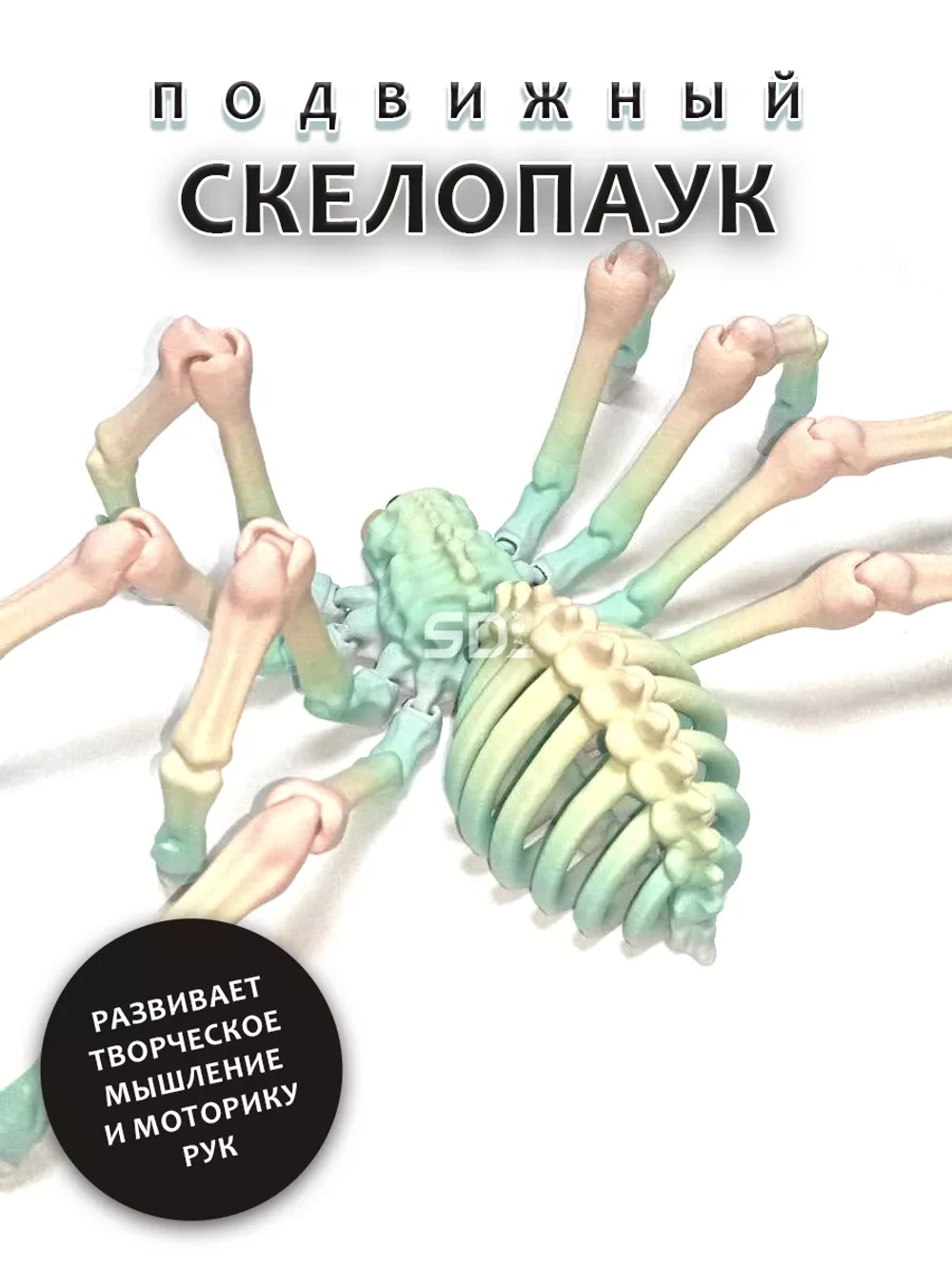 Скелет Паук