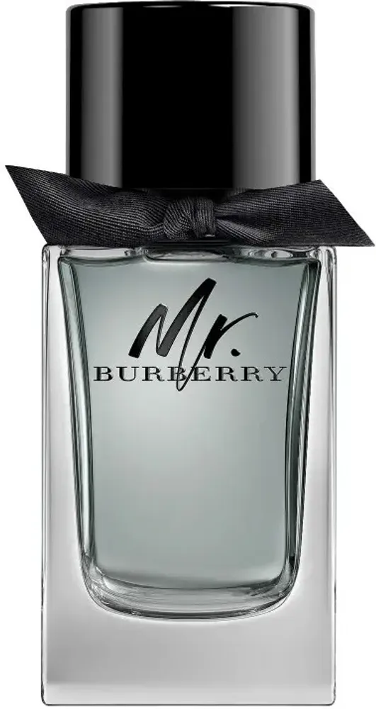 Burberry Mr Burberry EDT 100 ml