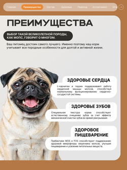 Корм сухой для взрослых собак породы Мопс, с индейкой, 12 кг, QUATTRO