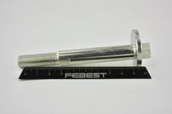 Болт с эксцентриком автомобильный задний правый/левый Febest 2929-003