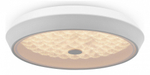 Накладной светильник Freya Cells FR10012CL-L24W