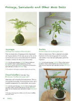 Moss Ball Bonsai: 100 Simple Kokedama Gardens That Are Easy and Fun to Make