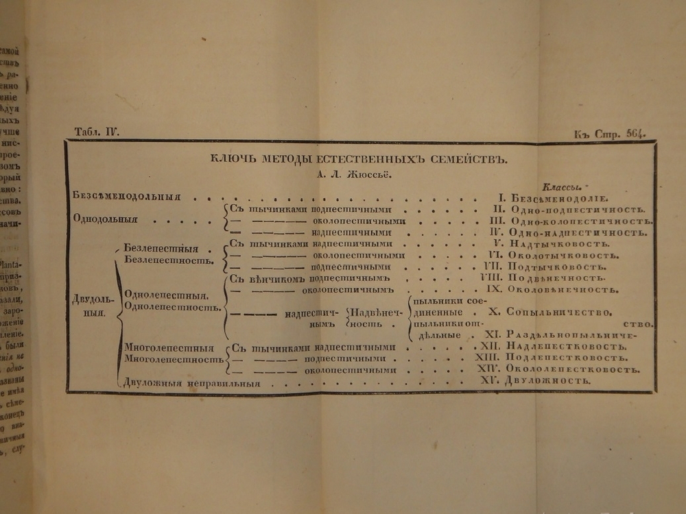 "Основание ботаники и физиологии растений. В 2-х частях". Сочинение А.Ришара. 1837г.