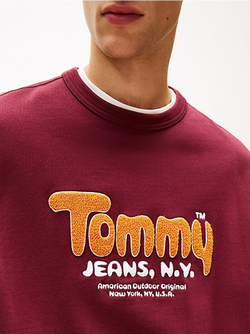 Толстовка мужская TOMMY JEANS TJM RLX BOUCLE FNT P