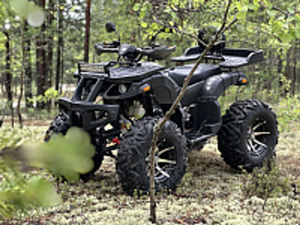 Квадроцикл PROMAX 320 DOMINATOR (2025)