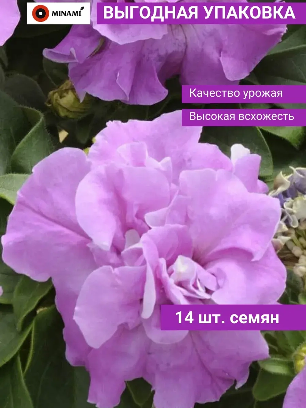 Петуния махровая многоцветковая Дуо F1 Лавандер 14шт