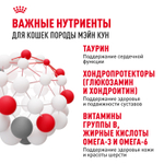 Royal Canin Maine Coon Adult Мейн Кун Эдалт Корм влажный для взрослых кошек породы Мэйн Кун соус 85г