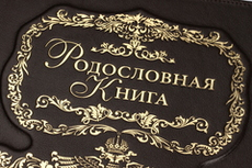 Родословная книга "Изысканная. Благословение" (кожа)