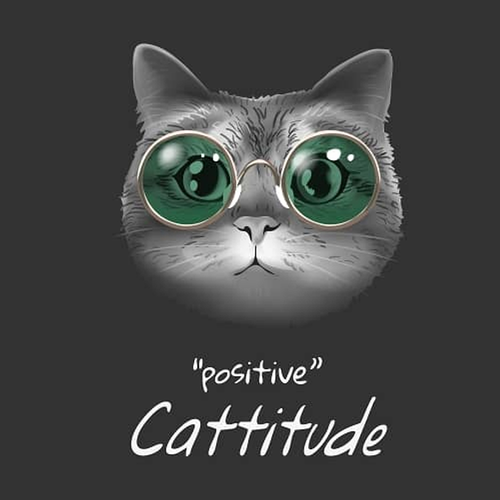 принт с котом Positive Cattitude