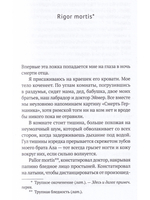 Ложка