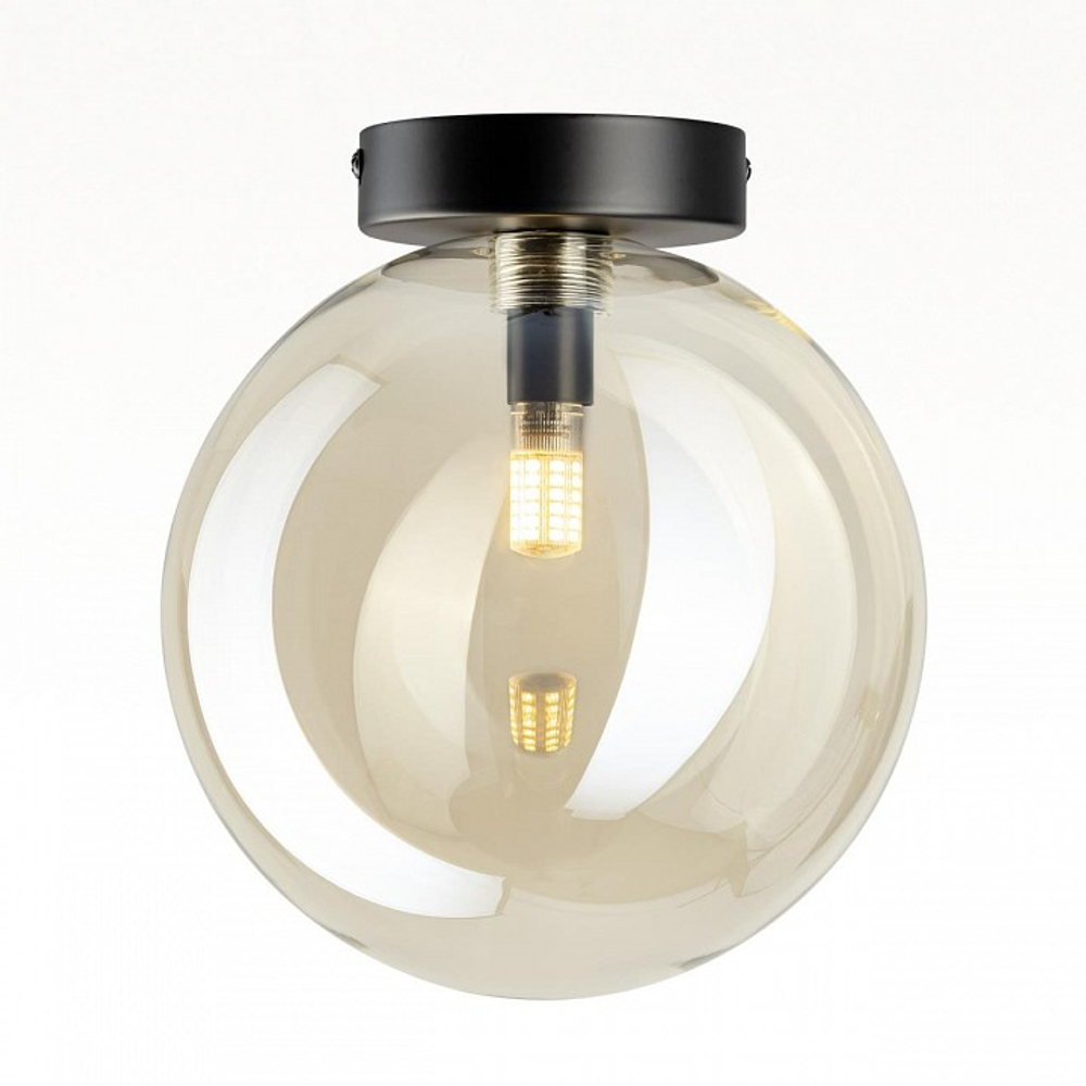 Накладной светильник Citilux ORTON CL202512