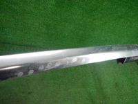 DSCN0480.JPG