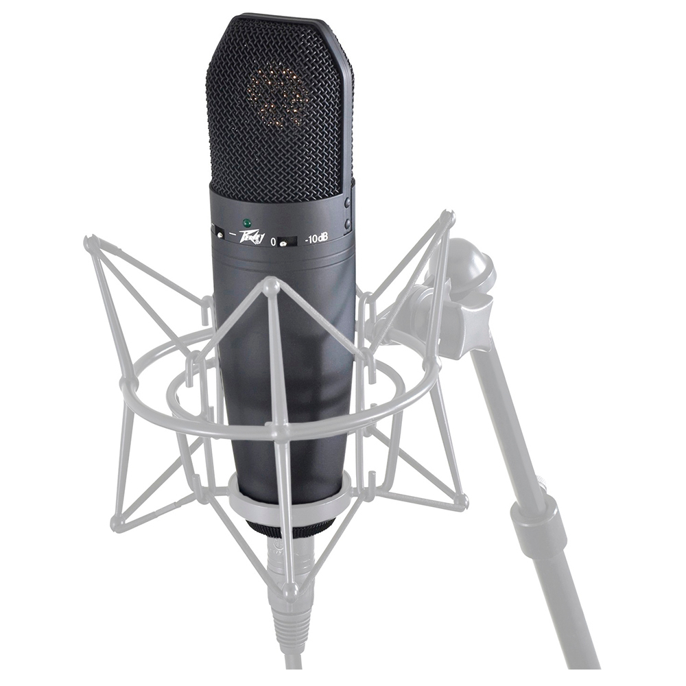 Peavey Studio Pro M2