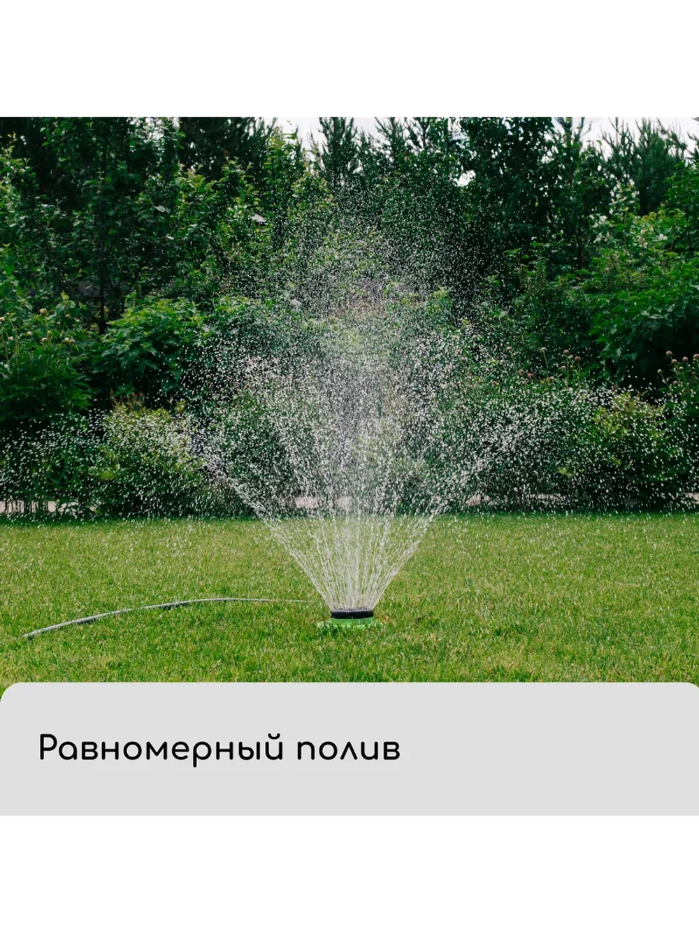 Распылитель-дождеватель