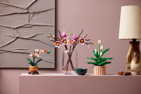 Конструктор LEGO The Botanical Collection 11510 Magnolia Branches